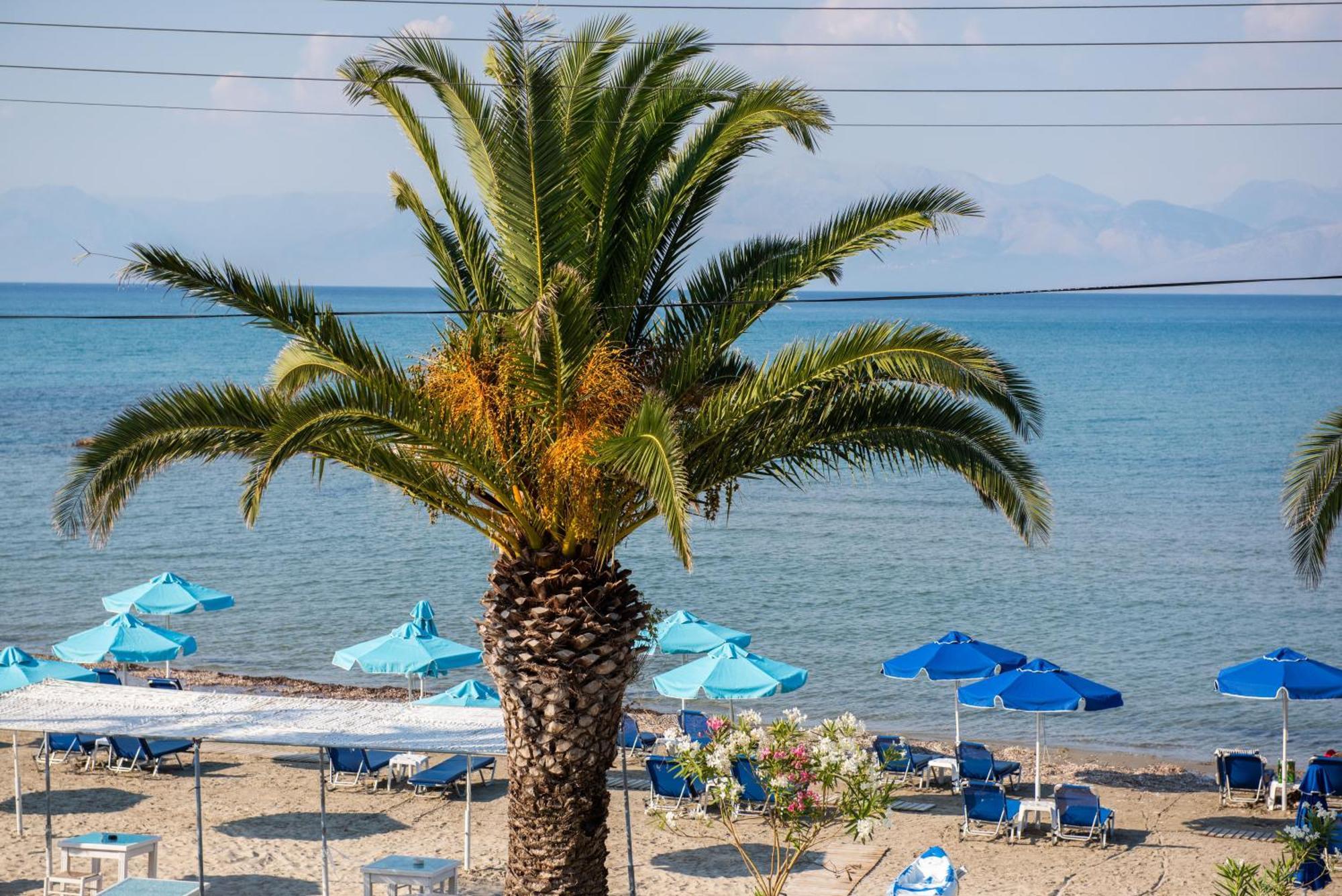 Aphrodite Beach Hotel Corfu Ρόδα Εξωτερικό φωτογραφία